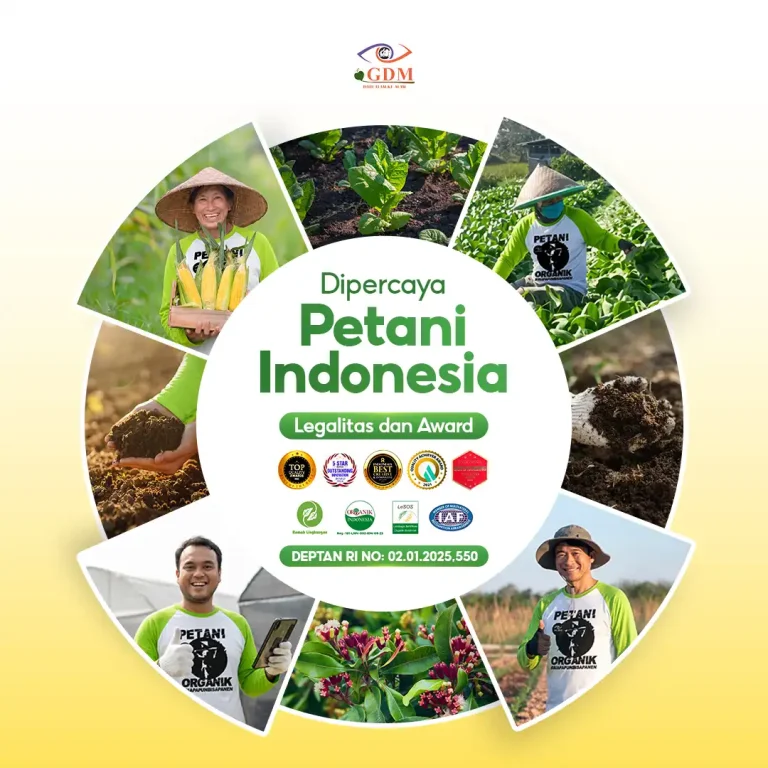 7 Banyak petani yang sudah percaya dengan kinerja pupuk organik granule GDM POG