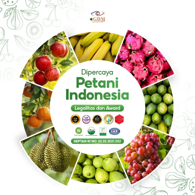 7 Sudah banyak pekebun yang percaya dengan pupuk organik cair GDM spesialis buah buahan