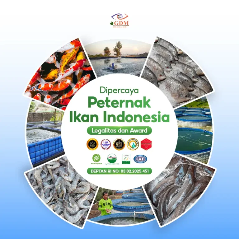7 Sudah banyak peternak yang percaya dengan suplemen organik cair GDM Spesialis perikanan