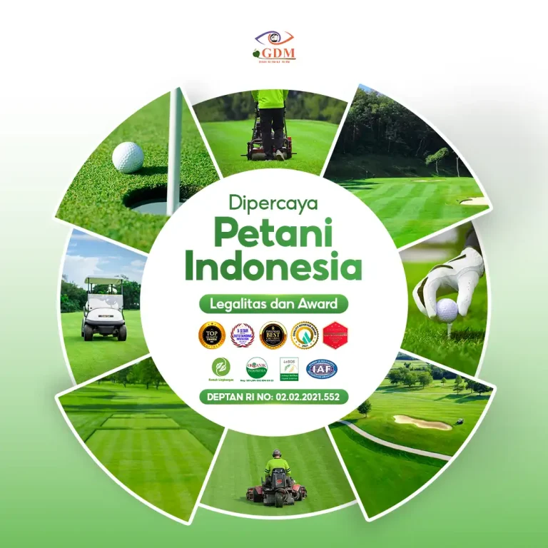 7 Sudah banyak yang percaya dengan keunggulan pupuk organik cair GDM spesialis lapangan golf