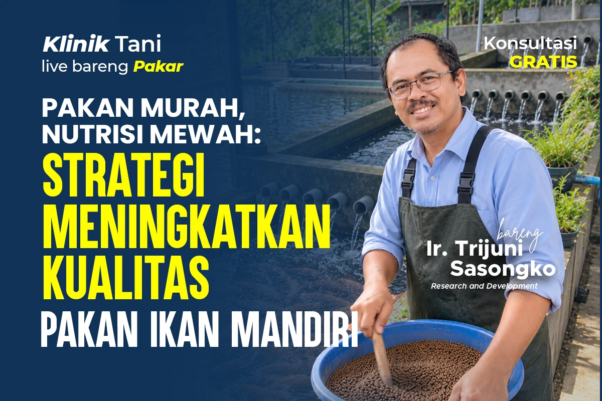 BINCOL GDM ungkap strategi pakan ikan murah bernutrisi