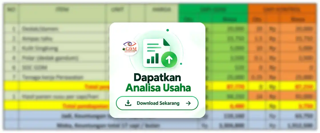 Gambar Analisa Usaha Budidaya Sapi Perah 2026 by GDM Blur
