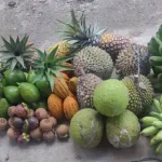 Foto ulasan pembeli GDM Spesialis Perkebunan adi.cn79