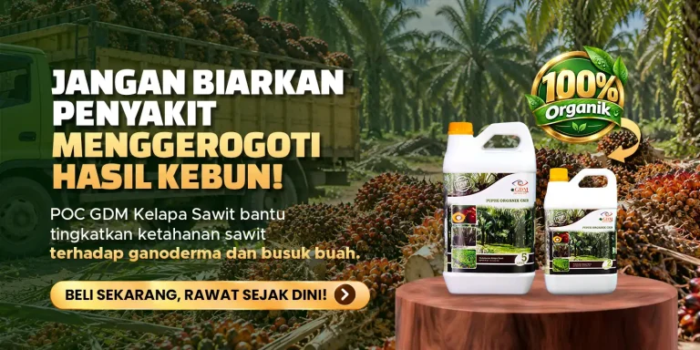Pupuk organik cair GDM spesialis kelapa sawit membantu mencegah penyakit