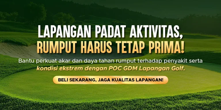 Pupuk organik cair GDM spesialis lapangan golf membantu rumput tetap prima di segala kondisi
