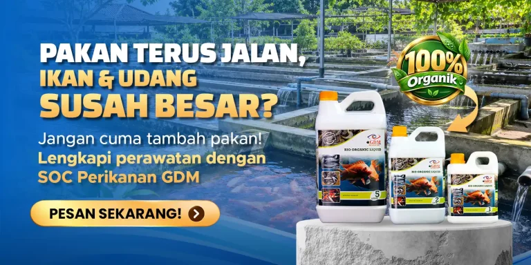 Suplemen organik cair GDM Spesialis perikanan membantu ikan dan udang yang susah besar