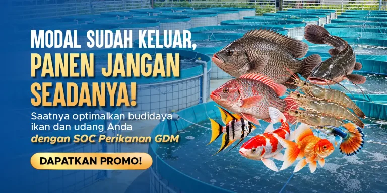Suplemen organik cair GDM Spesialis perikanan membantu meningkatkan hasil panen berkali-kali lipat