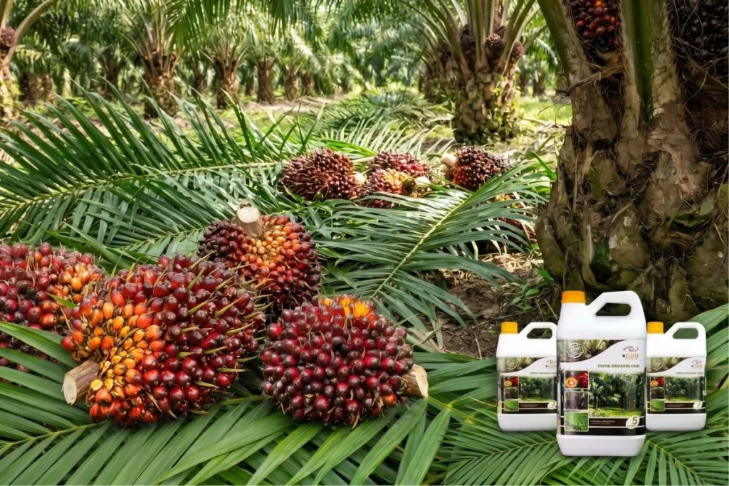 distributor pupuk sawit bengkulu